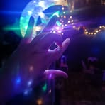 Denny Han - Facebook