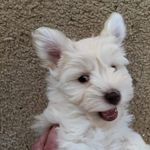 Denny Hicks - @denny.hicks.58 - Instagram