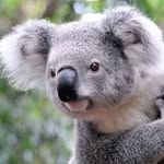 Denny Van 't Hoff - @dvh141279 - Instagram