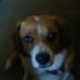 Denny Hutt - Facebook