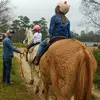 Denny Howard - @user33768434 - TikTok