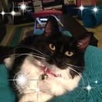 Denny Hunter - @dennyhunter1956 - Instagram