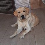 denny_jack - @denny__jack - Instagram