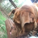 Denny Jack - @dennyjack123 - Instagram