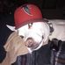 Denny Johnson - Facebook