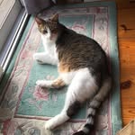 Denny Keller - @denny.keller.43 - Instagram
