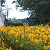 Denny King - @denny.king8 - TikTok