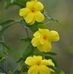 Denny Kwong - Facebook