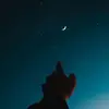 Dennykwonn - @dennykwonn95 - TikTok