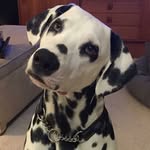 Denny Lang - @dennylang44 - Instagram