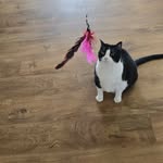 Dennis Lemons - @dennislemons_ - Instagram