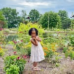 Denny Lewis - @denny.lewis.58 - Instagram