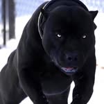 Denny Olson - @dan.ominous - Instagram