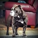 Denny Potter - @denny.potter - Instagram