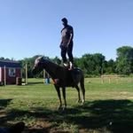 Dennis Robertson - @dennis.robertson.733076 - Instagram