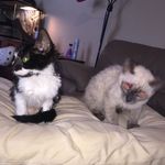 Simon & denny frajerman - @simon.and.denny - Instagram