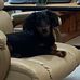 Denny Tucker - Facebook