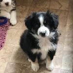 Denny Wade - @denny.wade.568 - Instagram