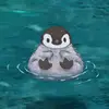 Denny Wong - @denny.wong95 - TikTok