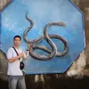 dennyyans - @dennyyans - TikTok