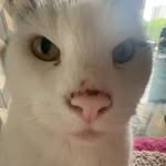 Denny Young - @d3nny_84 - Instagram