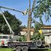Denny Young Tree Service LLC - Facebook