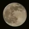 Dennys Suarez - @dennys_sg - TikTok