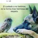 Dennys Vera Nevarez - @dennysveranevarez - Instagram