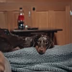 Rachel Denton-Walker - @racheldentonwalker - Instagram