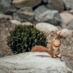 Denver Blackburn - Facebook