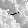 Denver Cox - @denver.cox5 - TikTok