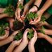 Denver Green School - Facebook