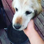 Denver Jenkins - @djenkins132 - Instagram