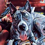 Denver Mack - @denverthoseeyes - Instagram