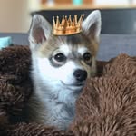 Kai Denver Marsh Duffy - @kaitheakk - Instagram