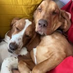 Denver Matlock - @denver_matlock - Instagram