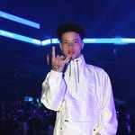Denver - @denver_mccabespams - Instagram