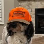 DENVER MOORE - @denver.thesheepadoodle - Instagram