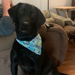 Denver Patterson - Facebook