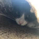 Denver Perez - @denverperez54 - Instagram