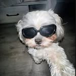 Denver perry - @zen.von1 - Instagram