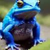 denverbperry86331 - @denverbperry86331 - TikTok