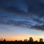 Denver - @denverphelps102252 - Instagram
