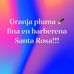 Pluma Fina - Facebook