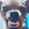 Shawn Denver - @shawndenver6 - TikTok