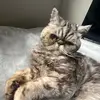 Denver Cecati - @shortydenver - TikTok