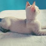 DenverSilva - @eudenversilva - Instagram