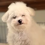 @denver_snow_bondev - Instagram