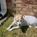 Denver Vaughn - @denverv15 - Instagram