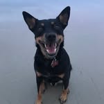 Denver Walker - @denver.walker - Instagram